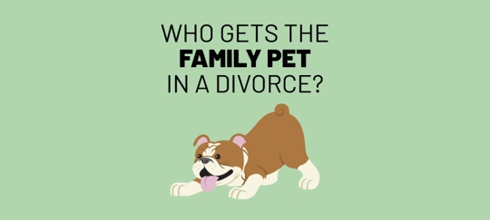 who gets the family pet in a divorce?