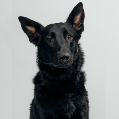 Liesl   Photo